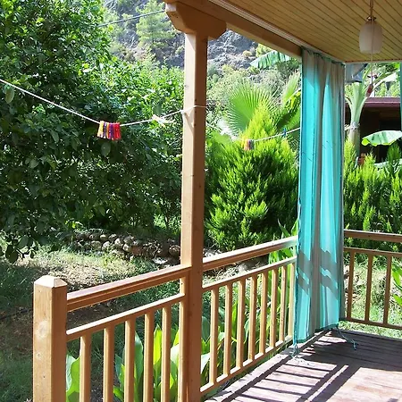 Naz Apartlari * Чирали