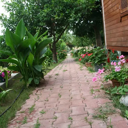 Naz Apartlari Апартаменты *